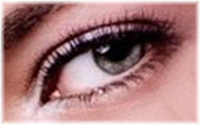 Lidstrich oben Wimpernkranzverdichtung  unten Permanent MAke Up
